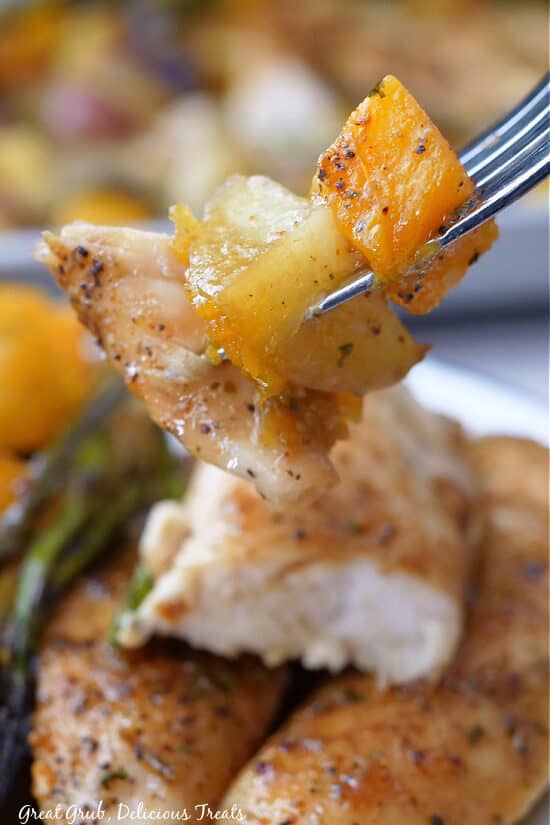 A close up of a bite of chicken, potato and squash on a fork.