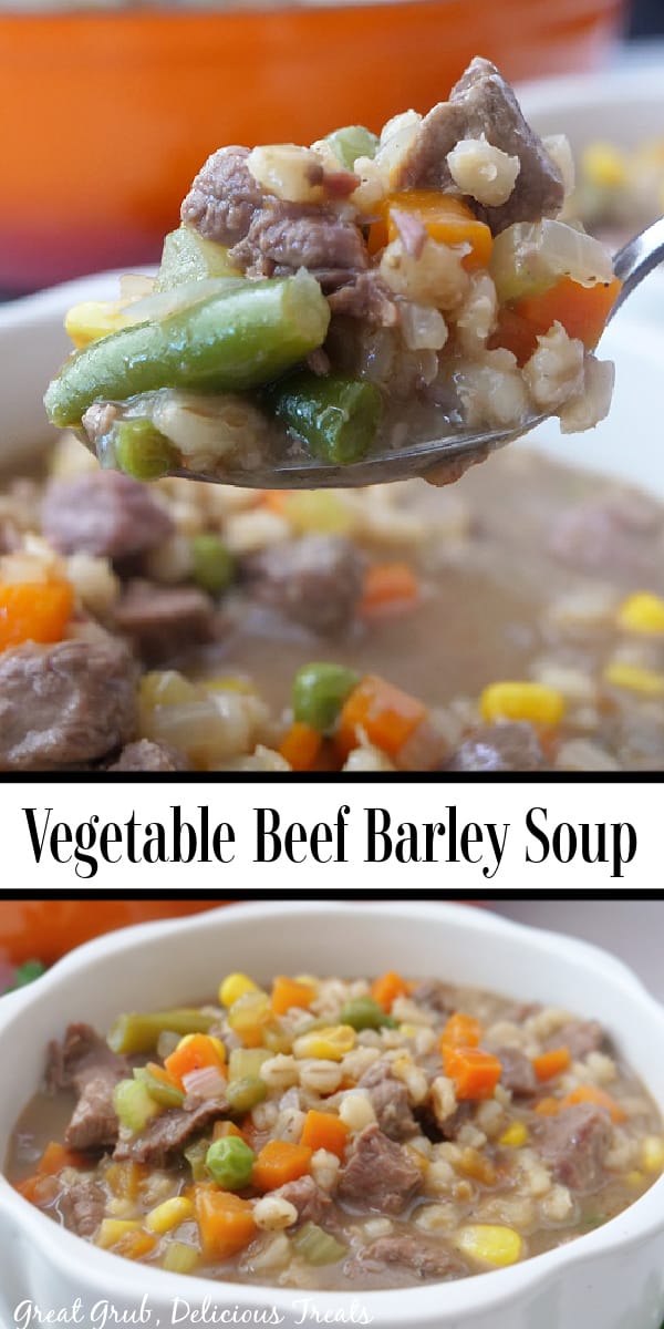 A double collage photo of vegetable beef barley soup.