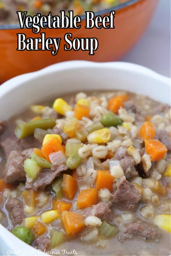 A white bowl filled with vegetable beef and barley soup.