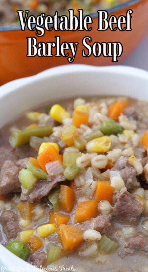 A white bowl with a serving of vegetable beef and barley soup in it.