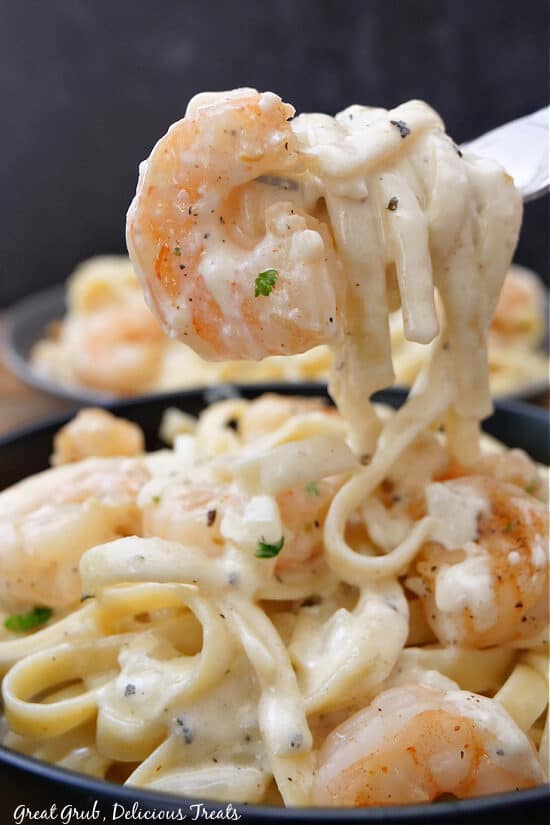 A close up photo of a single shrimp and fettuccine pasta twirled up on a fork.