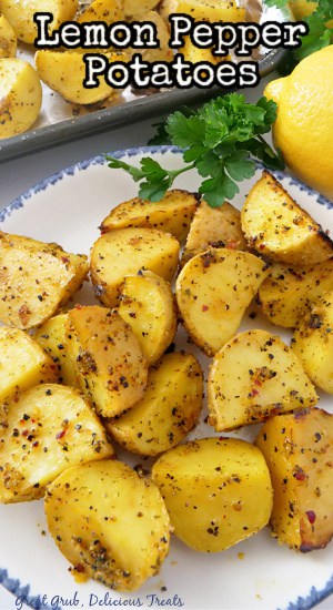A white plate with blue trim with lemon pepper potatoes on it.