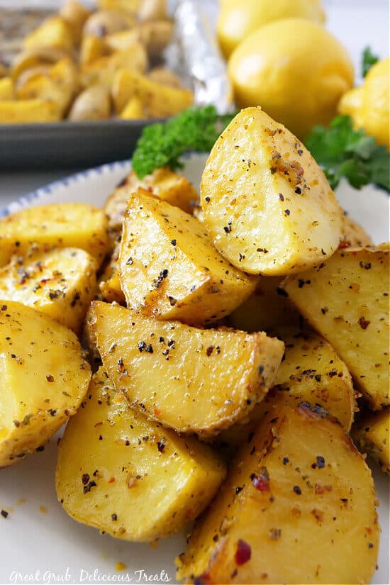 A close up of lemon pepper potatoes on a white plate.