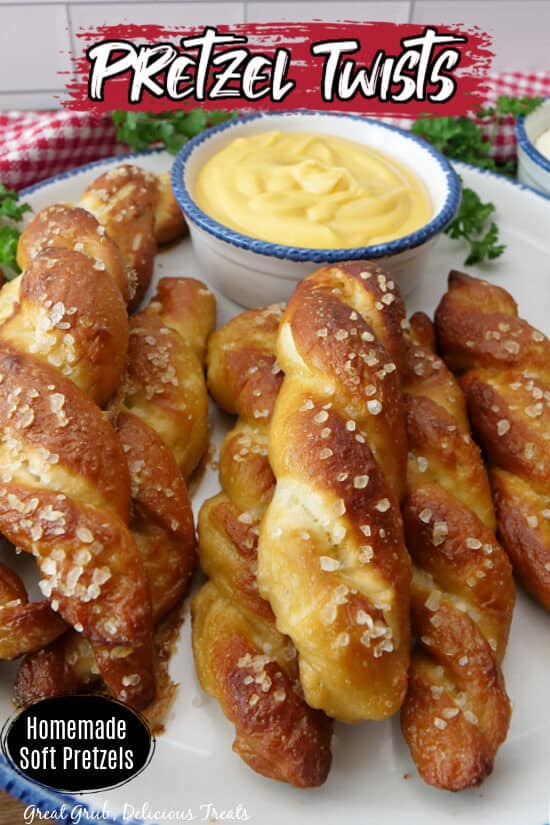 A title photo of pretzel twists on white plate.