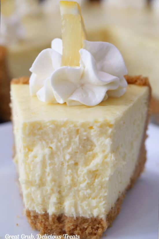 A super close up photo of a piece of cheesecake.