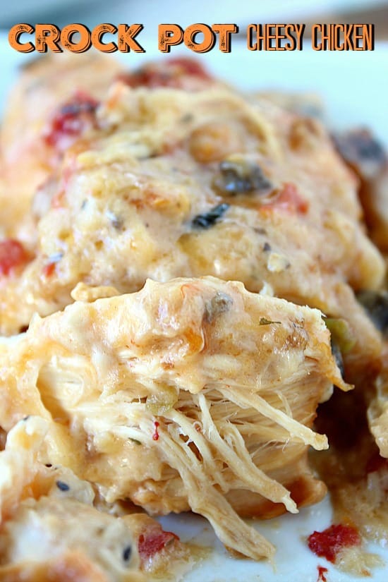 A close up of a slow cooked piece of chicken.