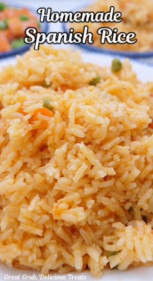 A close up of a bowl of rice.