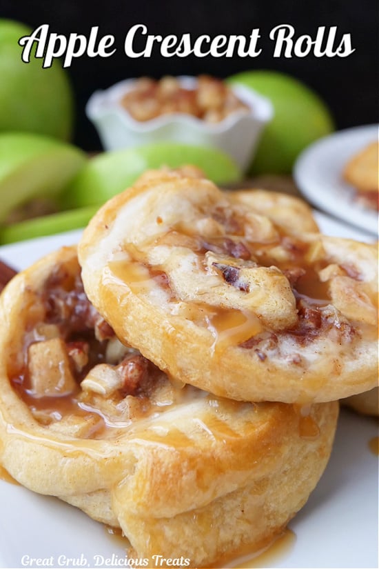 Two apple pastries on a white plate.