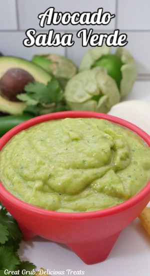 A red salsa bowl filled with avocado salsa verde.