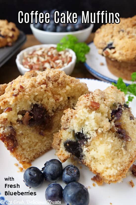 A white plate with a coffee cake muffin on it that was cut in half, and blueberries on the plate too.