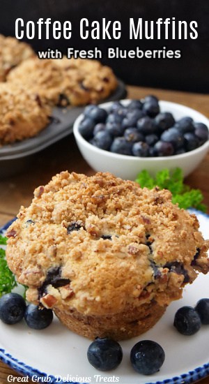 A single muffin on a white plate with blue trim with more muffins in the background and a white bowl of blueberries.