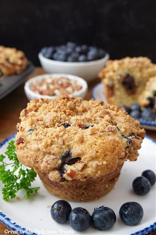 A single muffin on a round white plate with blue trim with loose blueberries placed on the plate.