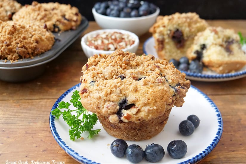 A horizontal photo of coffee cake muffins on a white plate with blue trim.