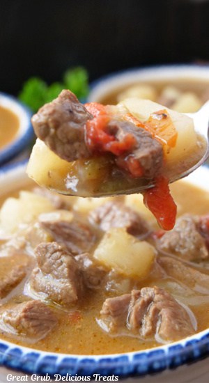 A close up of a spoonful of beef and potato green chile stew.