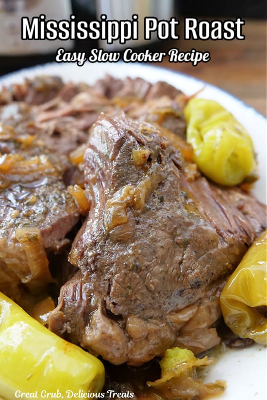 A slow cooked roast on a white plate.
