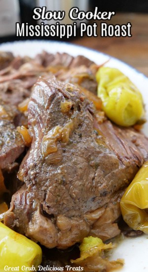 A close up photo of a pot roast on a white plate after being cooked.