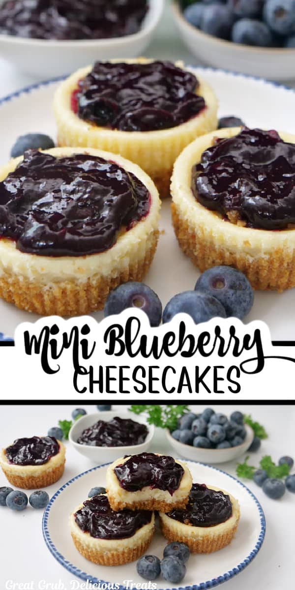 A double photo collage of mini cheesecakes topped with fresh blueberries.