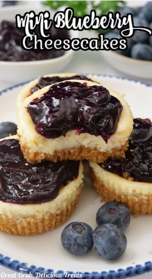 Four mini cheesecakes with fresh blueberries on a white plate with blue trim.