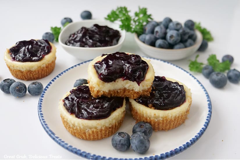A horizontal photo of a white surface with a round white plate with blue trim with mini blueberry cheesecakes on it.