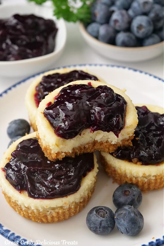 Mini cheesecakes with fresh blueberries on a white plate with blue trim.