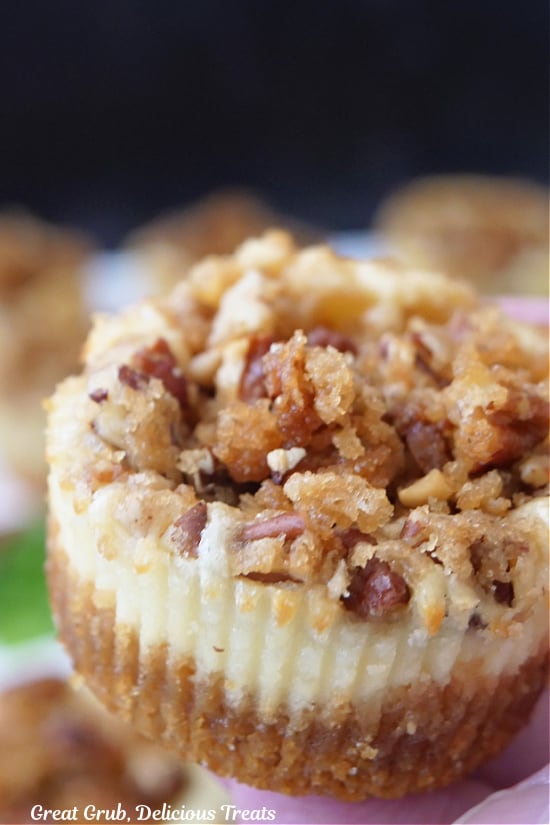 A close up of a mini cheesecake that has a crunchy brown sugar pecan topping on top.