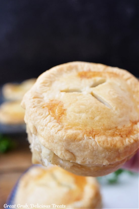 A mini chicken pot pie held up to the camera lens.