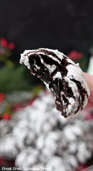 A chocolate crinkle cookie with a bite taken out of it.