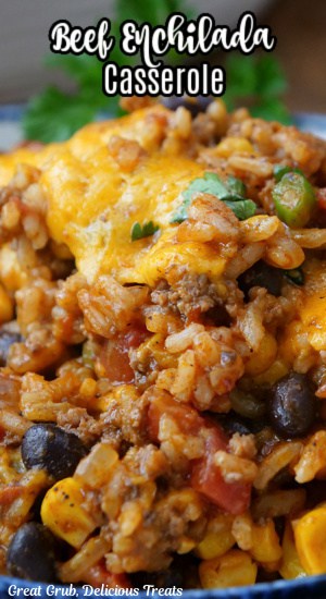 A close up of a serving of beef enchilada casserole.