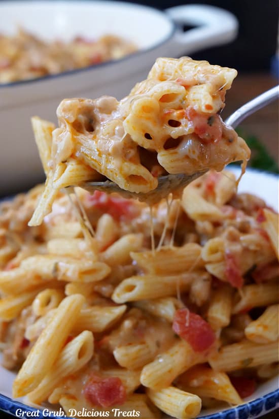 A close up of a spoonful of pasta.