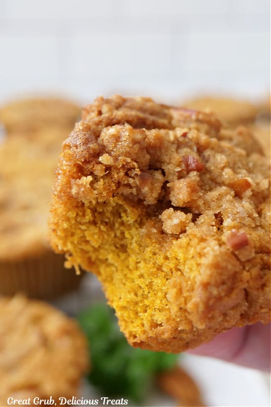 A close up of a muffin with a bite taken out of it.