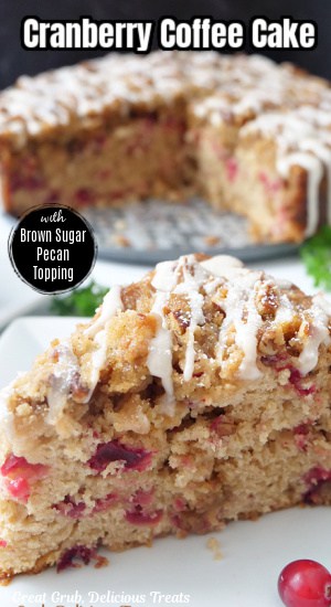 A slice of cranberry coffee cake on a white plate.