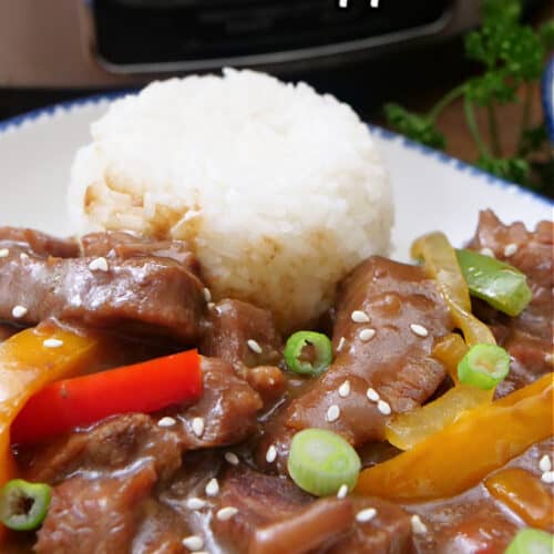 A white bowl with blue trim filled with a serving of beef and peppers with white rice.