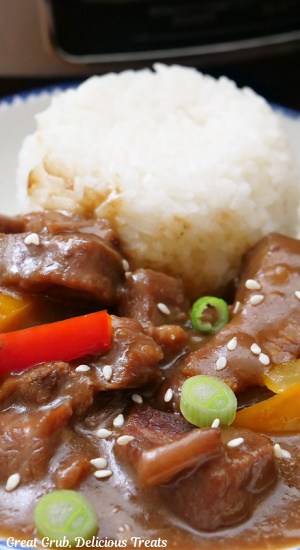 A close up of a serving bowl filled with slow cooked steak and peppers with white rice.