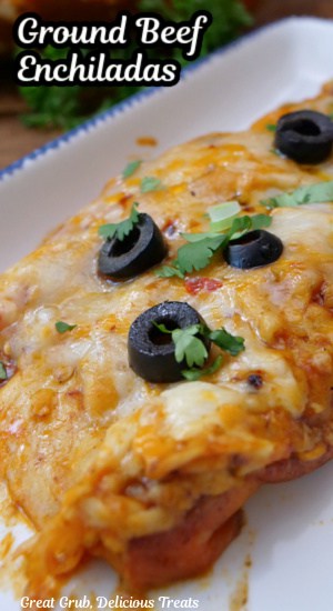 Two enchiladas of a white plate with blue trim.