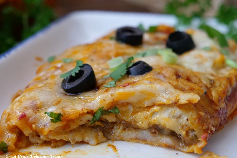 A horizontal photo of two beef enchiladas on a white plate with blue trim.