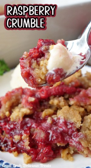 A spoonful of raspberry crumble.