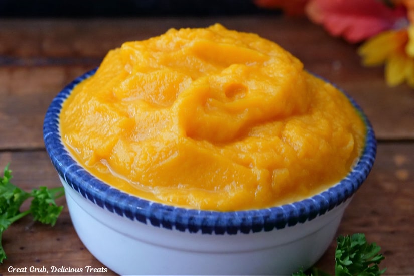 A horizontal photo of a white bowl filled with butternut squash puree.