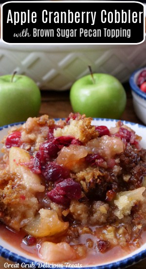 A white bowl with blue trim filled apple cranberry cobbler.