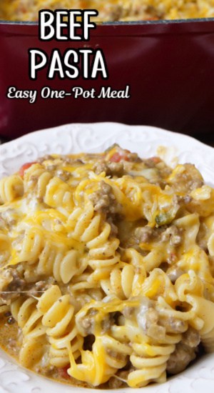 A white bowl filled with a serving of pasta, hamburger, cheese, and more in a savory sauce.
