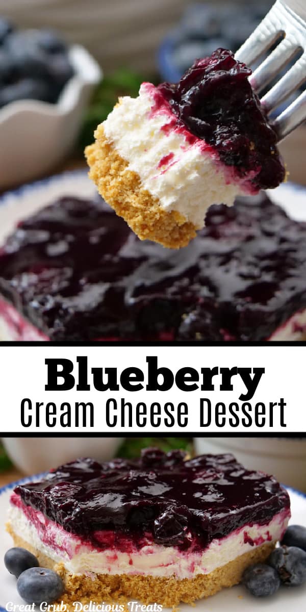 A double photo collage of a blueberry dessert with the title of the recipe in the center of the two photos.