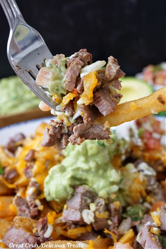 A close up of a fork with a bite of carne asada fries.