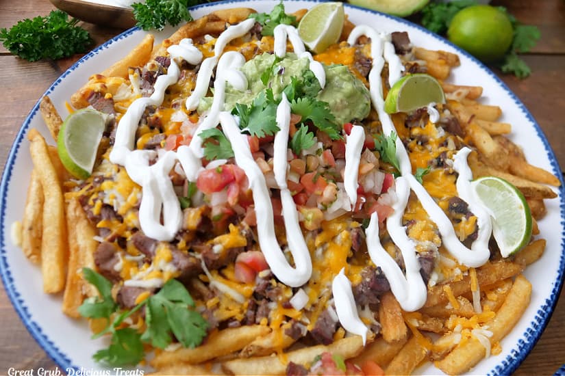 A horizontal photo of a large white plate with blue trim filled with French fries, carne asada steak, sour cream, cheese, guacamole, and more.