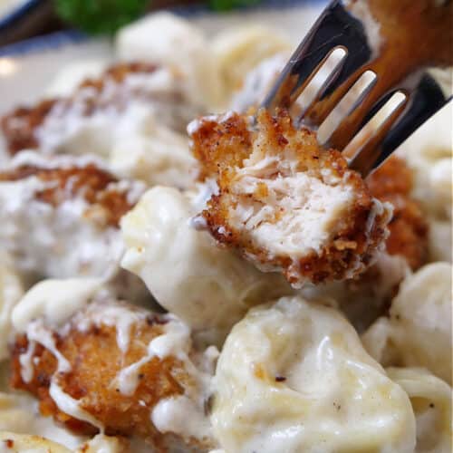 A close up of a fork with a bite-size piece of fried chicken and cheese tortellini with alfredo sauce.