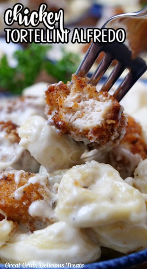 A close up of a bite of a crispy fried chicken piece with cheese tortellini with alfredo sauce.