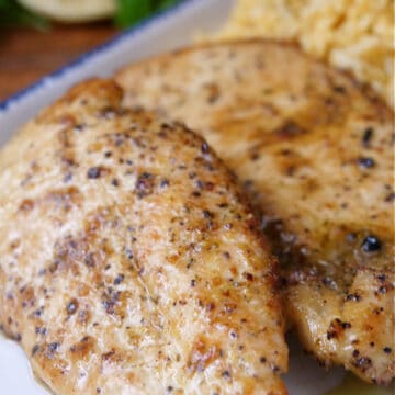 Two lemon pepper chicken breasts on a white plate with blue trim with a side of rice.