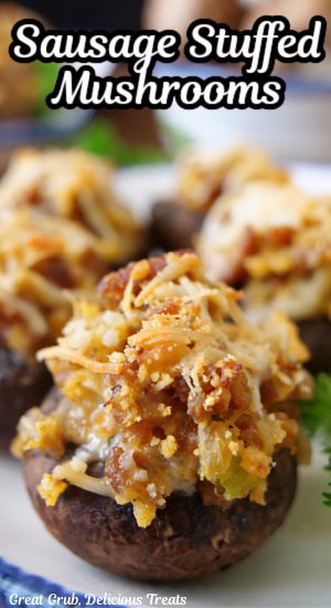 A close up of a few stuffed mushrooms on a white plate with blue trim.