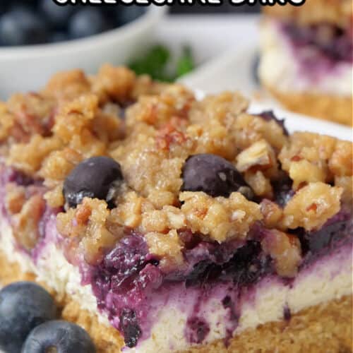A close up photo of a white plate with a serving of a blueberry cheesecake bar that has a graham cracker crust, a cheesecake layer, and topped with blueberries, and a pecan topping.