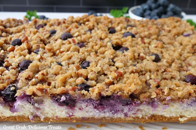 Blueberry Cheesecake Bars before they are cut into bars.