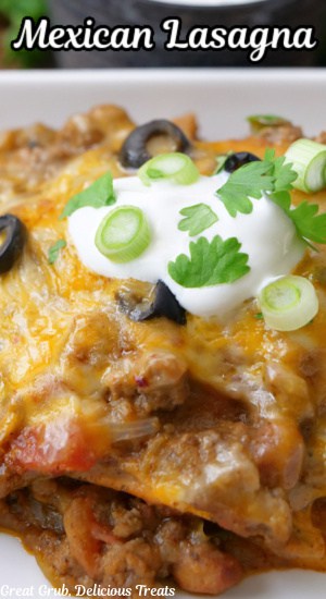 A close up of a serving of lasagna Mexican style.