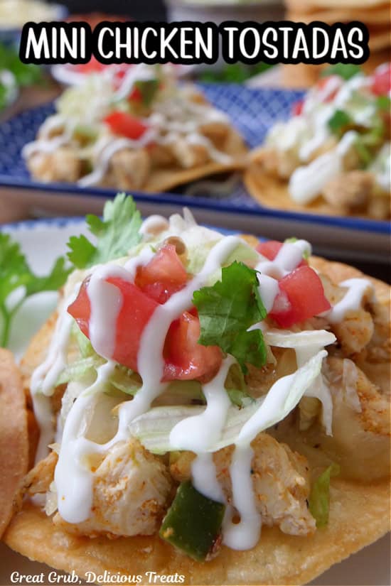 A close up of a mini chicken tostada with lettuce, diced tomatoes, sour cream and cilantro.